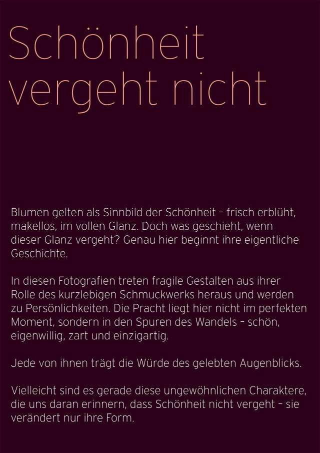 00-Ulla_Blueten_Texte (verschoben)